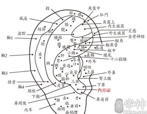 右耳輪有痣男|耳朵长痣的位置图解 耳朵长痣的位置图解有福气